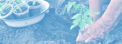 What To Consider Before Starting A Private Foundation In Canada.